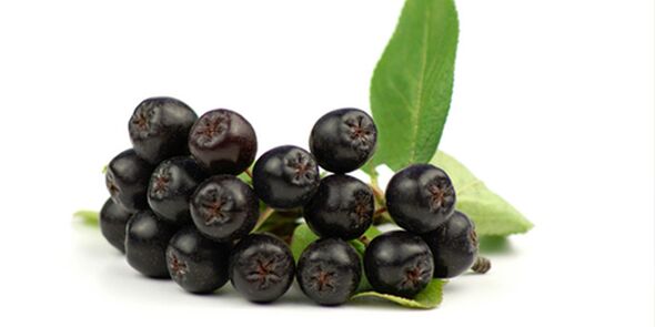 Frutti di cenere di montagna neri utili per il diabete